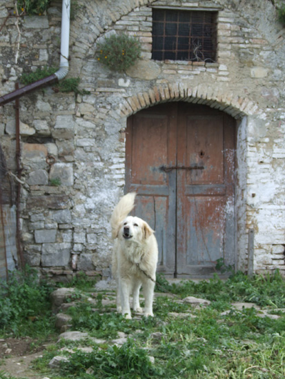 craco (87)