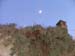 craco (80)