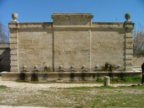 irsina (85)