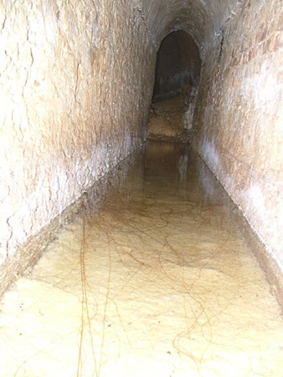 irsina (93)