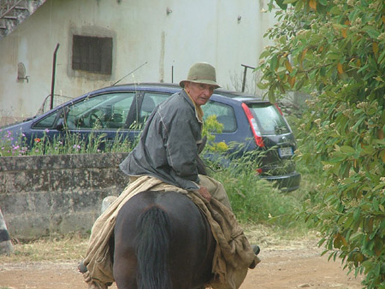 irsina (96)