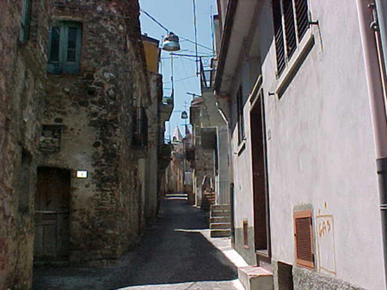 noepoli (8)