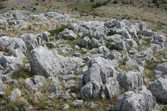 sanmartino (79)