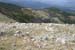sanmartino (78)