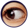 eye.gif (16371 byte)