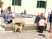 matera.sassi (53)