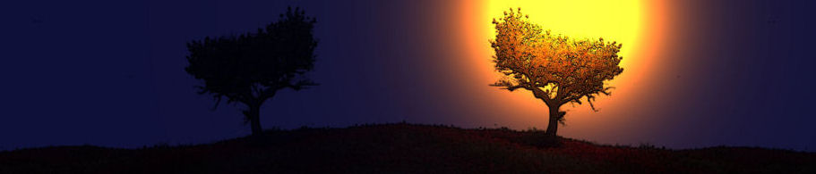 banner.immagini.jpg (21018 byte)