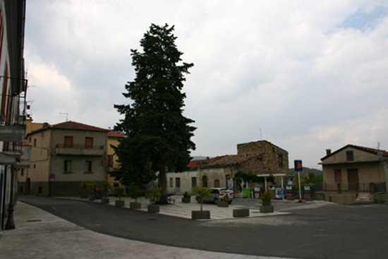 cersosimo (14)