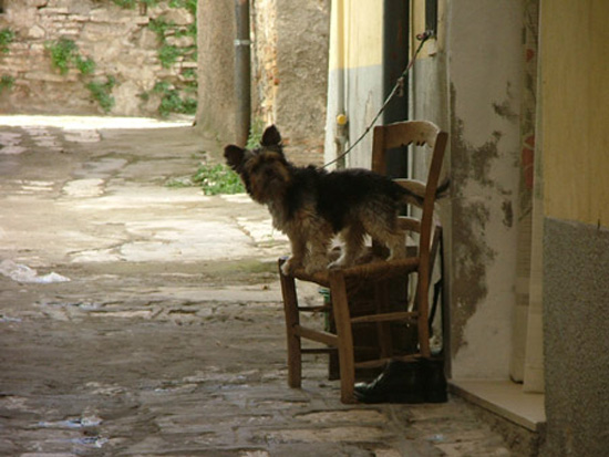 irsina (11)