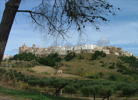 irsina (41)