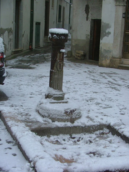 irsina (66)