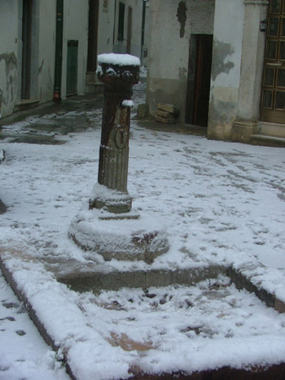 irsina (67)