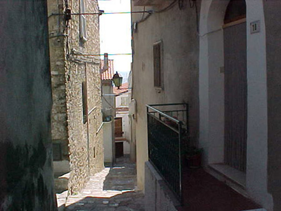 noepoli (19)