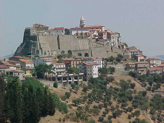 noepoli (3)