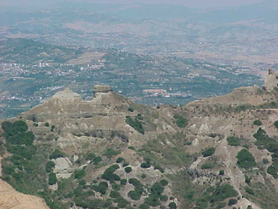 noepoli (5)