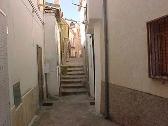 noepoli (7)