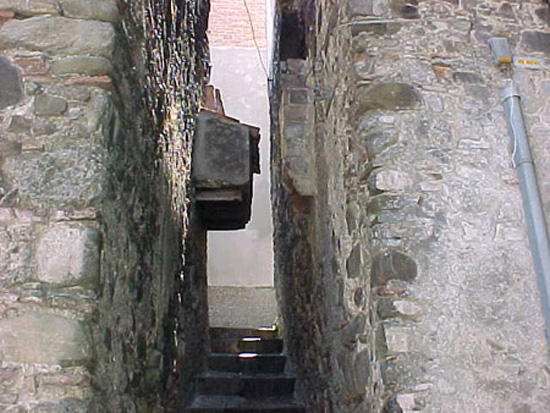noepoli (9)