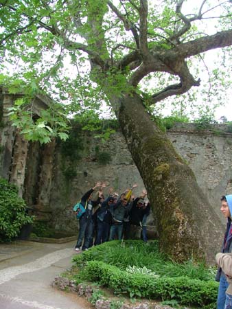 tivoli (21)