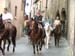 tarquinia