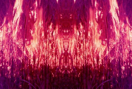 inside (incendio,Nova Siri.elabor.grafica