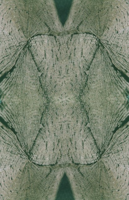 codice X 12 " legno,Nova Siri.elabor.grafica"