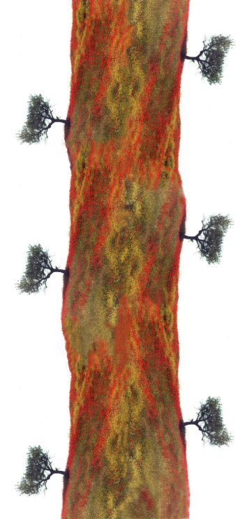 DNA "terra, prato,Nova Siri.elabor.grafica"