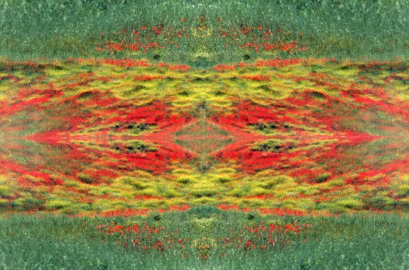 Terra di Confine 6 "paes.Nova Siri.elabor.grafica"