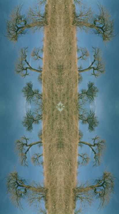 Totem1 "paes.Nova Siri.elabor.grafica"