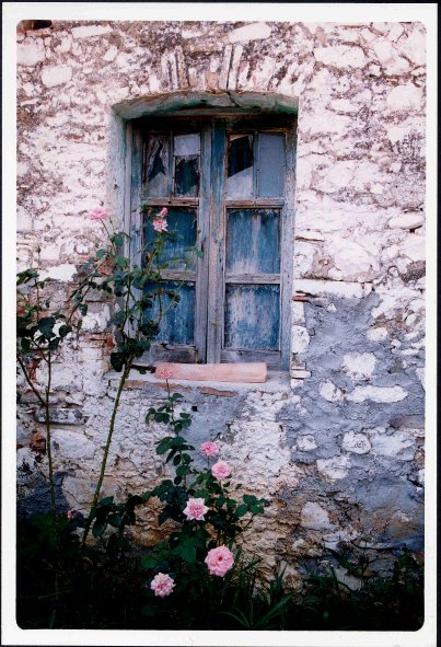 le rose e la finestra