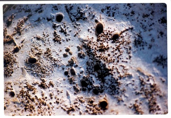 tracce sulla pietra 3