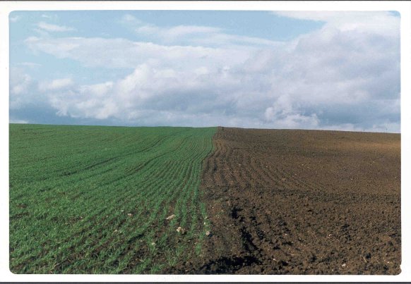 terra, prato, cielo