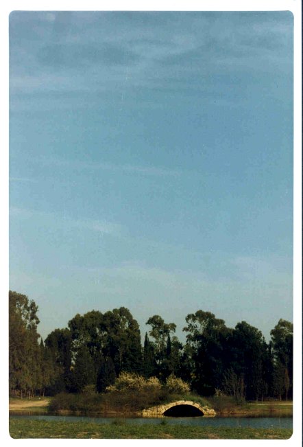 ponte e cielo