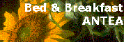 www.bbantea.it