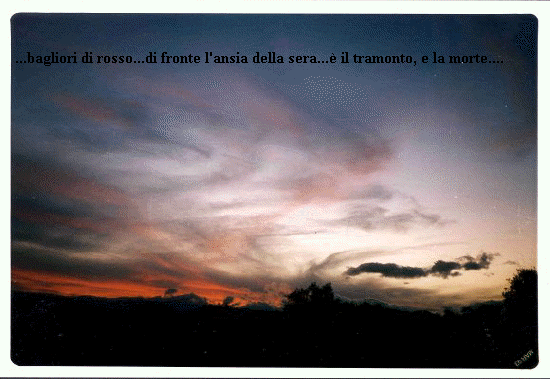 cieli6