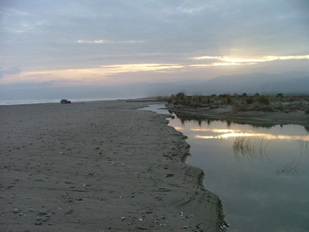 Dscf5229