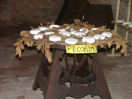 montepulciano (8)