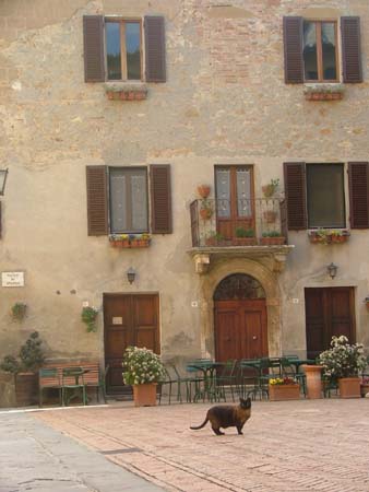 pienza (5)