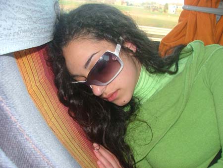 pullman (11)