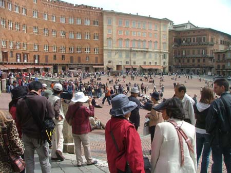 siena (2)