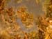 firenze (21)