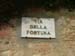pienza (14)