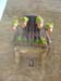 pienza (19)