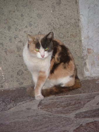 orvieto (35)