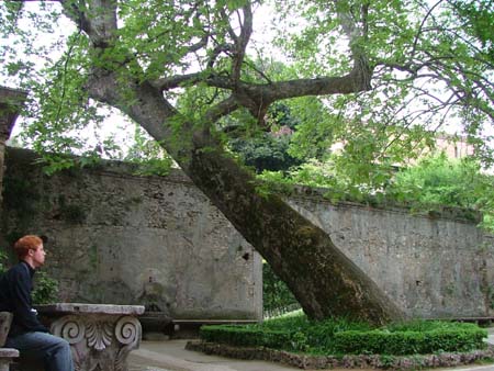 tivoli (18)