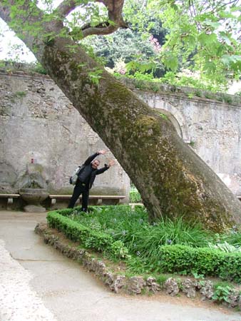 tivoli (19)