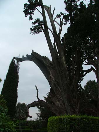tivoli (28)