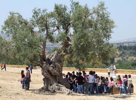 agrigento (19)