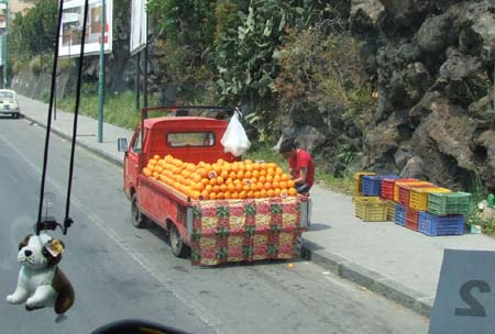 catania (47)