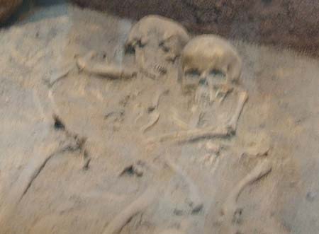 museor.cal (2)