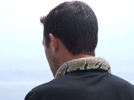 viaggior (29)